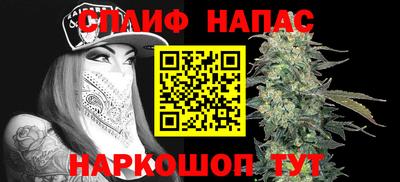 индика Ливны
