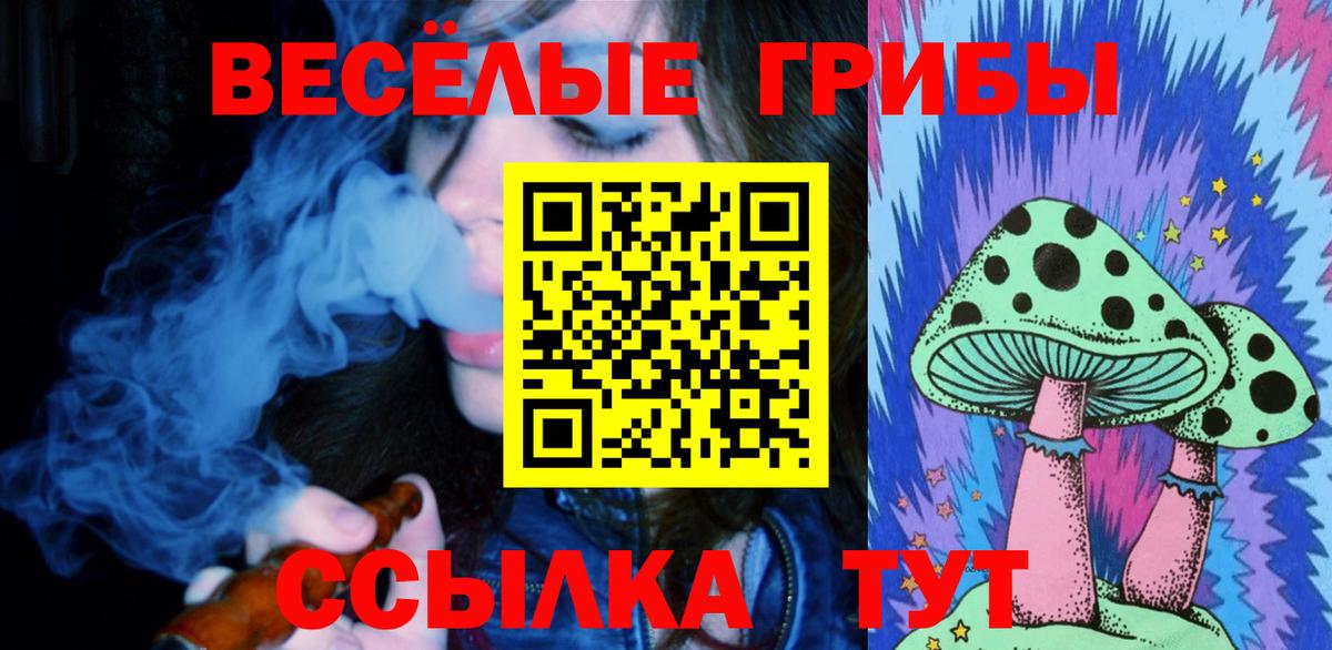 цена   Псилоцибиновые грибы MAGIC MUSHROOMS  Вход с VPN  Псилоцибиновые грибы мицелий  Вязники 